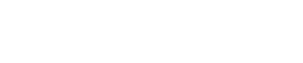 BIG Merger White Logo